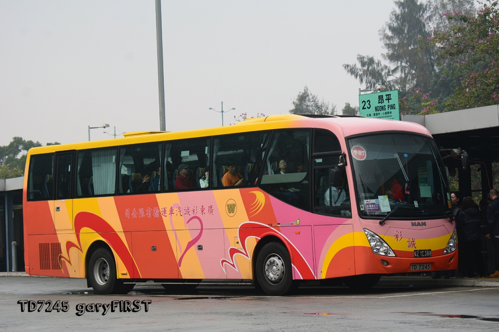 中港通 "伸" 服务,带你畅游屿南 - 旅游巴士及过境巴士 (b6)