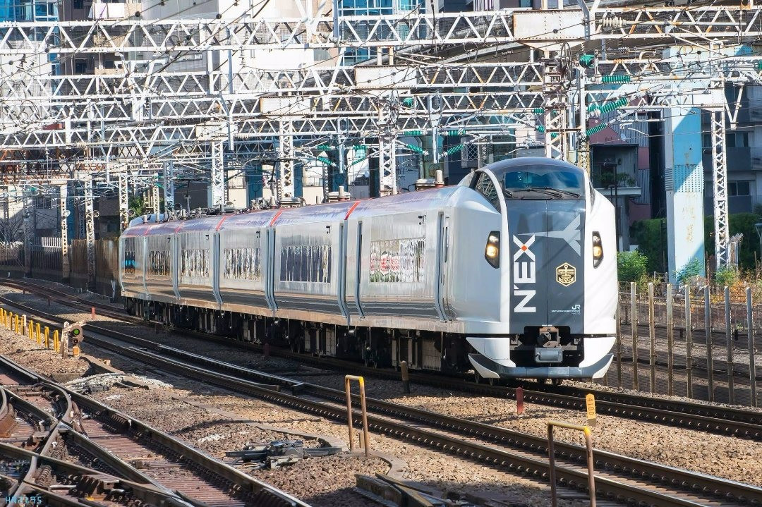 e259系特急形电车    众所皆知系行特急成田エクスプレス接载游客