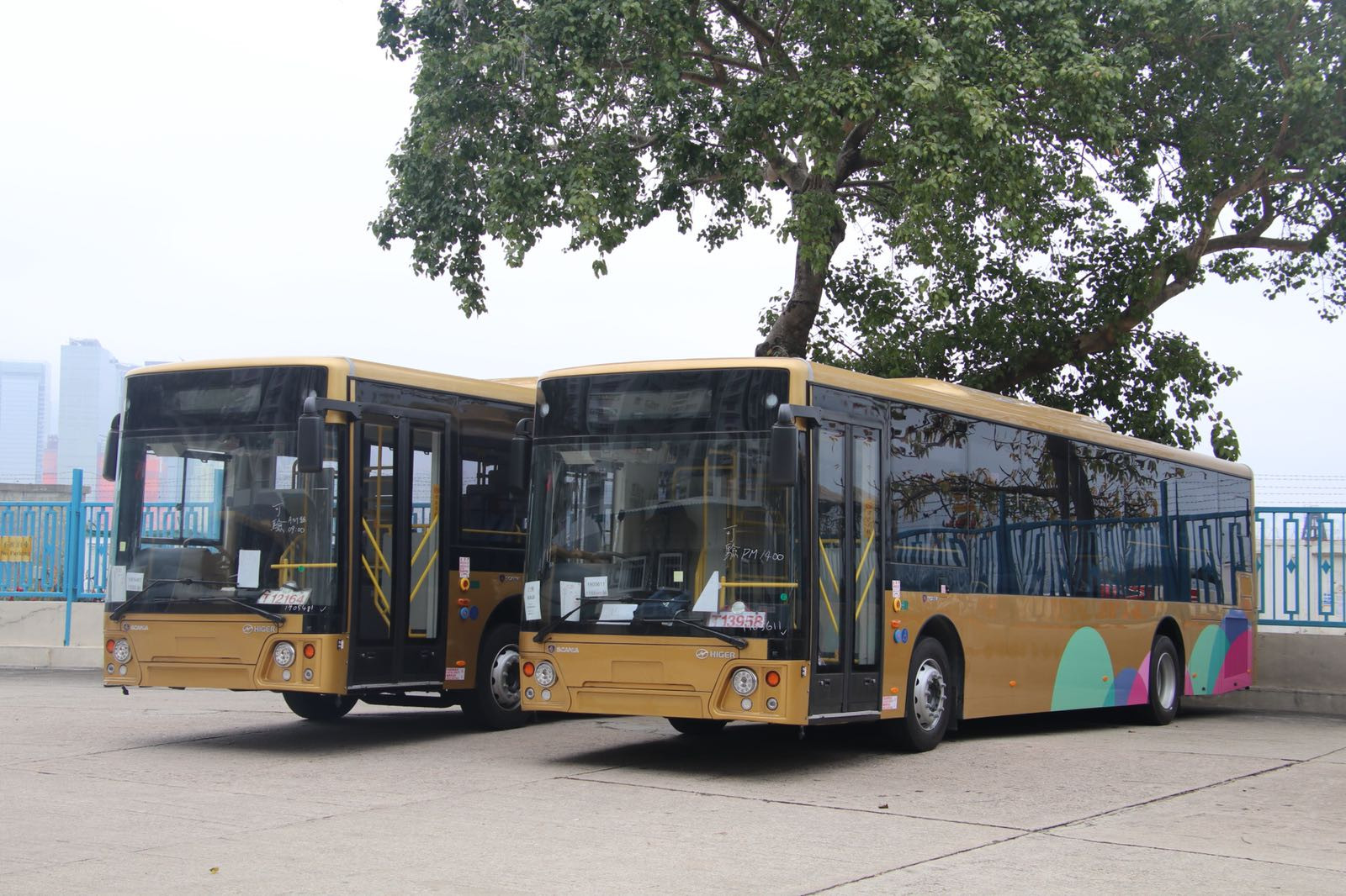 港珠澳scania k250ub 及 man a95验车记 [多相] - 巴士摄影作品贴图区