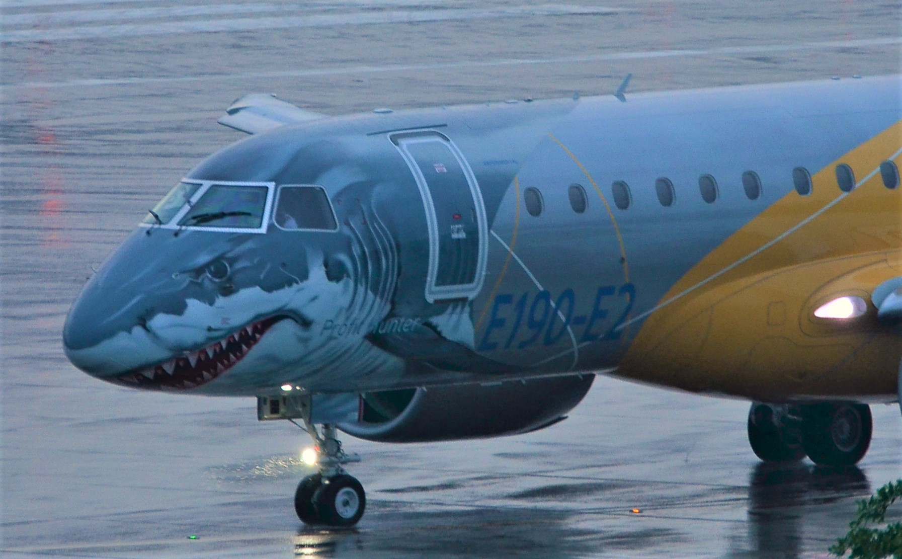 到底鲨鱼机能否成功猎客?