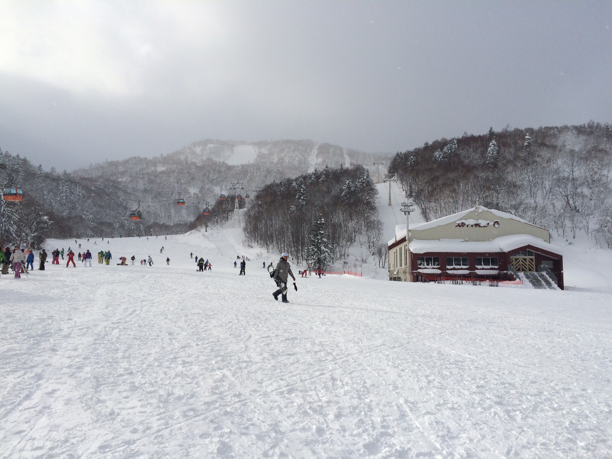 札幌国际滑雪场(即日日本传真)